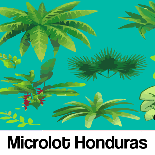 Microlot Honduras Natural